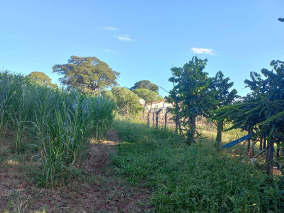 Imagem Fazenda à Venda, 65.340 m² em Bonfim - Pirassununga