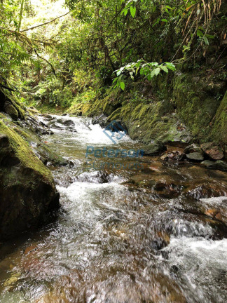 Imagem Chácara com 3 Quartos à Venda, 1.200.000 m² em Lageado Alto - Guabiruba