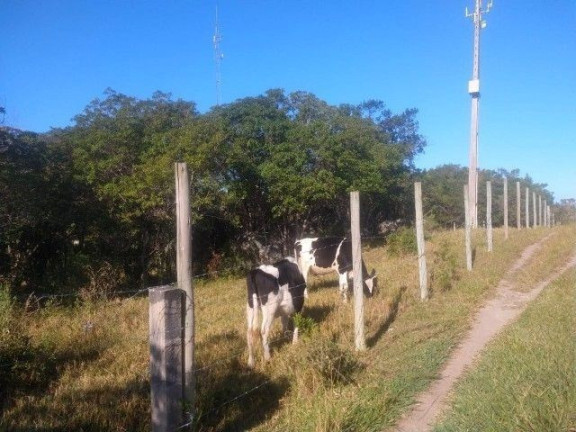 Imagem Terreno à Venda, em Ressacada - Garopaba Imagem Terreno à Venda, em Ressacada - Garopaba