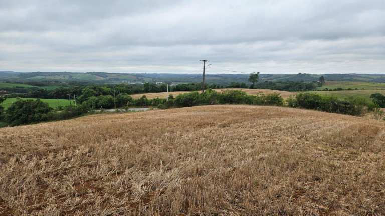 Imagem Terreno à Venda, 84.700 m² em Guajuvira - Araucaria Imagem Terreno à Venda, 84.700 m² em Guajuvira - Araucaria