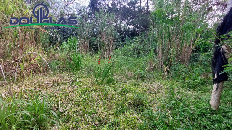 Imagem Terreno à Venda, 567 m² em águas Claras - Viamão