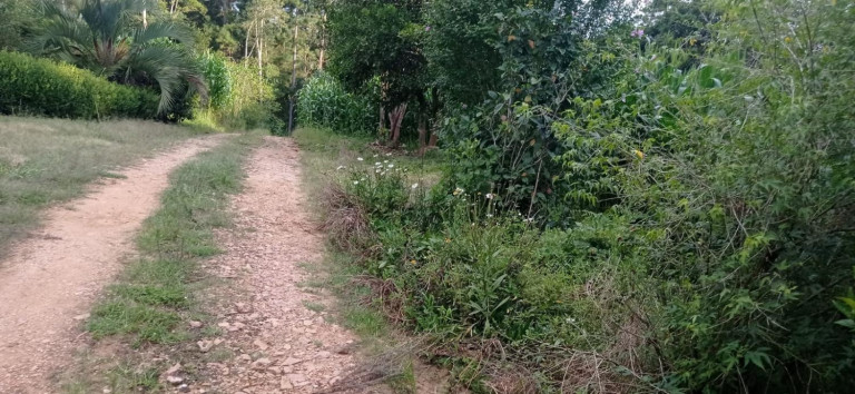 Imagem Chácara com 2 Quartos à Venda, 5.445 m² em Centro - Agudos Do Sul