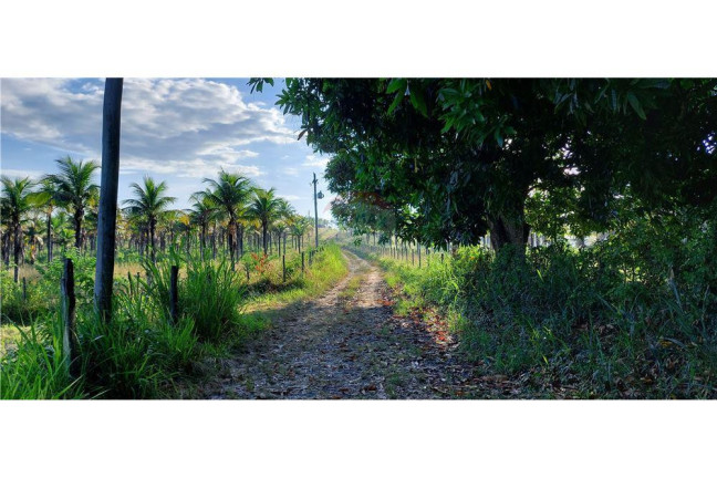 Imagem Imóvel à Venda, 200.000 m² em Bacaxa - Saquarema Imagem Imóvel à Venda, 200.000 m² em Bacaxa - Saquarema