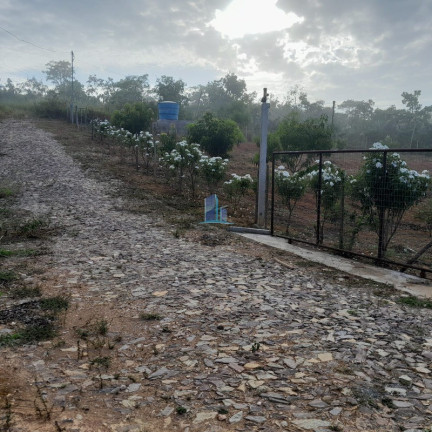 Imagem Imóvel com 5 Quartos à Venda, 24.000 m² em Paraopeba - Paraopeba