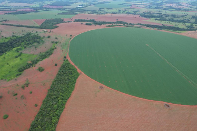 Imagem Fazenda à Venda, 60 m² em Zona Rural - Morrinhos Imagem Fazenda à Venda, 60 m² em Zona Rural - Morrinhos