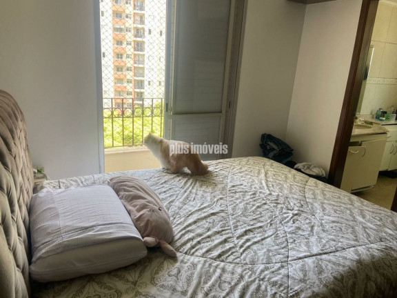 Imagem Apartamento com 3 Quartos à Venda, 120 m² em Panamby - São Paulo Imagem Apartamento com 3 Quartos à Venda, 120 m² em Panamby - São Paulo