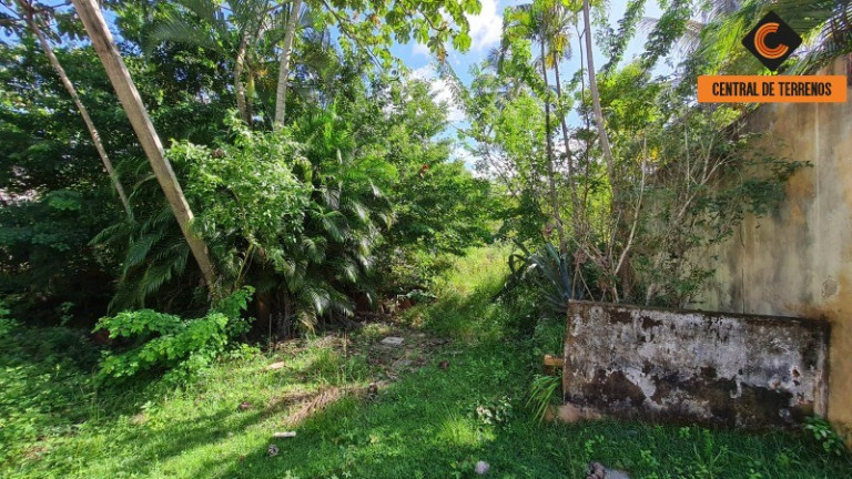 Imagem Terreno à Venda, 4.300 m² em Abrantes - Camaçari Imagem Terreno à Venda, 4.300 m² em Abrantes - Camaçari
