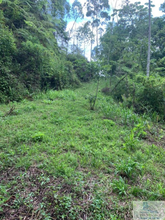 Imagem Chácara à Venda, 126.000 m² em Centro (rio Rosinha) - Rio Dos Cedros Imagem Chácara à Venda, 126.000 m² em Centro (rio Rosinha) - Rio Dos Cedros