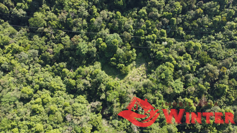 Imagem Chácara à Venda, 107.448 m² em Canto Chuchu - Linha Nova Imagem Chácara à Venda, 107.448 m² em Canto Chuchu - Linha Nova