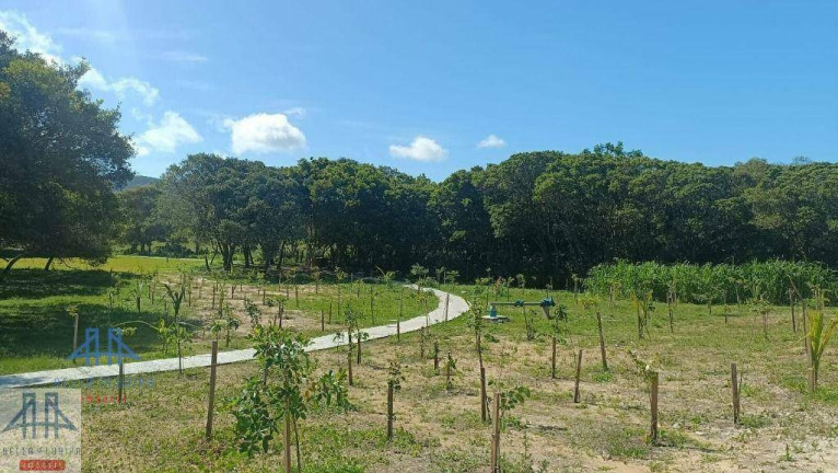 Imagem Terreno à Venda, 600 m² em São João Do Rio Vermelho - Florianópolis Imagem Terreno à Venda, 600 m² em São João Do Rio Vermelho - Florianópolis