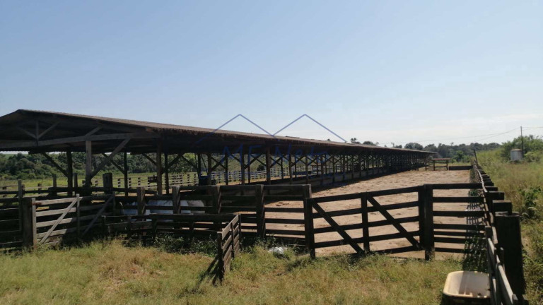 Imagem Fazenda à Venda, 22 m² em Roque - Pirassununga Imagem Fazenda à Venda, 22 m² em Roque - Pirassununga