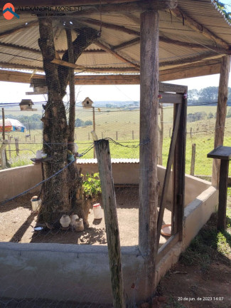 Imagem Chácara com 2 Quartos à Venda, 1.800 m² em Campo Do Meio - Araçoiaba Da Serra Imagem Chácara com 2 Quartos à Venda, 1.800 m² em Campo Do Meio - Araçoiaba Da Serra