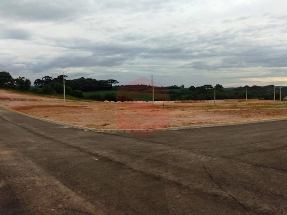 Imagem Terreno à Venda, 371 m² em Centro - Balsa Nova Imagem Terreno à Venda, 371 m² em Centro - Balsa Nova
