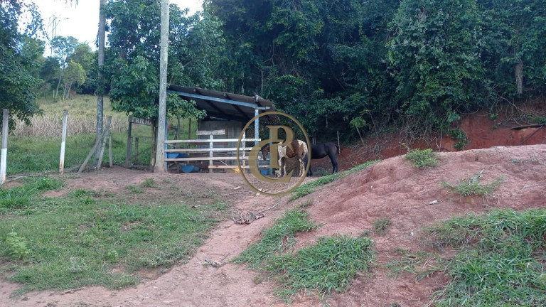 Imagem Chácara com 3 Quartos à Venda, 300 m² em Caçapava Velha - Caçapava Imagem Chácara com 3 Quartos à Venda, 300 m² em Caçapava Velha - Caçapava
