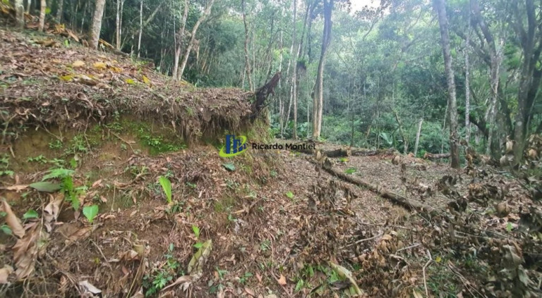 Imóvel à Venda,  em Centro - Camboriú