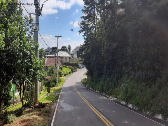 Imagem Casa com 3 Quartos à Venda, 67 m² em Linha Olinda - Nova Petrópolis Imagem Casa com 3 Quartos à Venda, 67 m² em Linha Olinda - Nova Petrópolis
