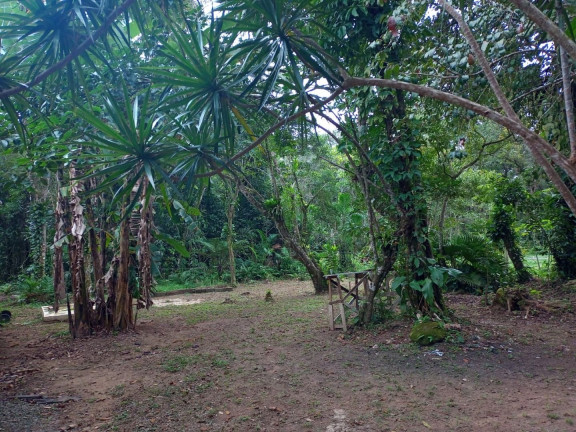 Imagem Chácara com 1 Quarto à Venda, 90 m² em Agenor De Campos - Mongaguá Imagem Chácara com 1 Quarto à Venda, 90 m² em Agenor De Campos - Mongaguá