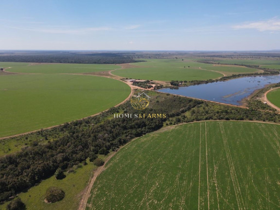 Imagem Imóvel com 3 Quartos à Venda, 5.290 m² em Zona Rural - Britânia Imagem Imóvel com 3 Quartos à Venda, 5.290 m² em Zona Rural - Britânia