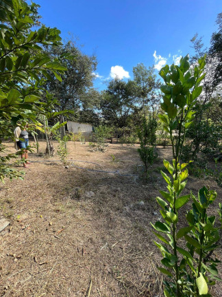 Imagem Chácara com 2 Quartos à Venda, 7.800 m² em Quintas Da Capela Nova - Itatiaiuçu