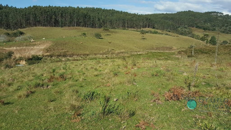Imagem Terreno à Venda, 450.000 m² em Zona Rural - Bom Retiro Imagem Terreno à Venda, 450.000 m² em Zona Rural - Bom Retiro