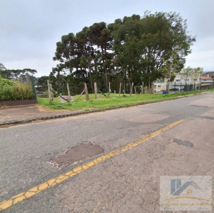 Imagem Terreno à Venda, 1.600 m² em Colonia Murici - São José Dos Pinhais