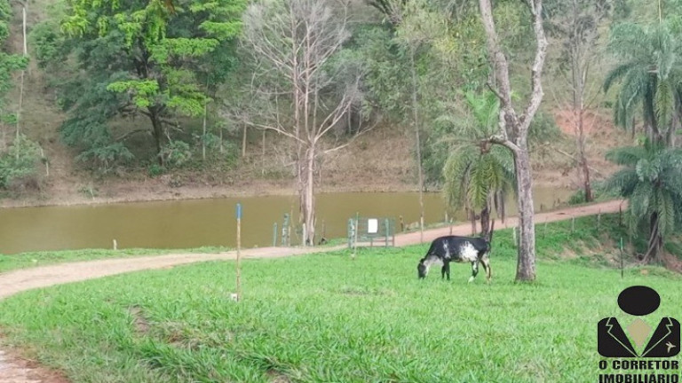 Imagem Imóvel à Venda, 20.000 m² em Mirantes Fazendas - Sete Lagoas Imagem Imóvel à Venda, 20.000 m² em Mirantes Fazendas - Sete Lagoas