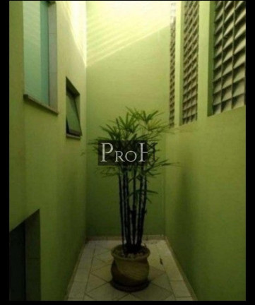 Imagem Sobrado com 3 Quartos à Venda, 201 m² em Vila Gilda - Santo André Imagem Sobrado com 3 Quartos à Venda, 201 m² em Vila Gilda - Santo André