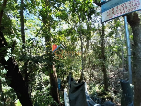Imagem Imóvel à Venda, 399 m² em Lagoa Da Conceição - Florianópolis Imagem Imóvel à Venda, 399 m² em Lagoa Da Conceição - Florianópolis