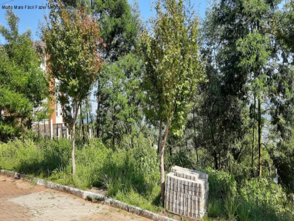 Imagem Terreno à Venda, 471 m² em Piá - Nova Petrópolis Imagem Terreno à Venda, 471 m² em Piá - Nova Petrópolis