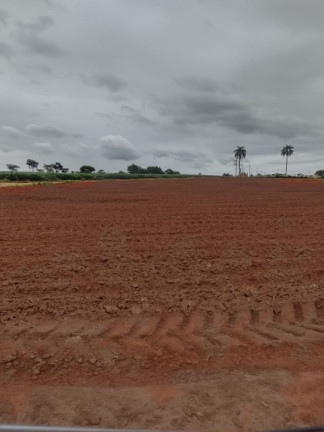 Imagem Terreno à Venda, 20.000 m² em Bairro Dos Lopes - Limeira Imagem Terreno à Venda, 20.000 m² em Bairro Dos Lopes - Limeira