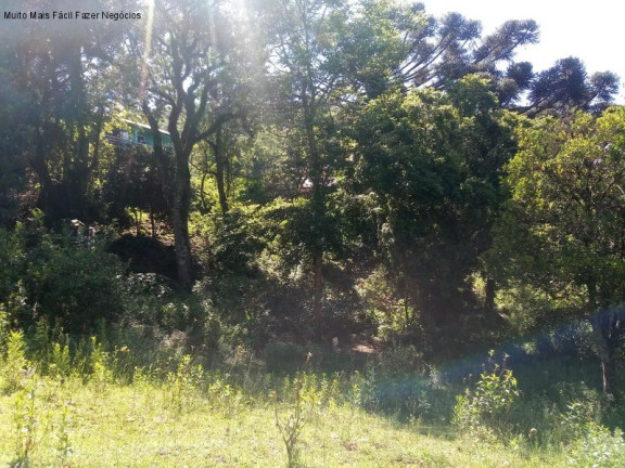 Imagem Terreno à Venda, 3.500 m² em Piá - Nova Petrópolis Imagem Terreno à Venda, 3.500 m² em Piá - Nova Petrópolis