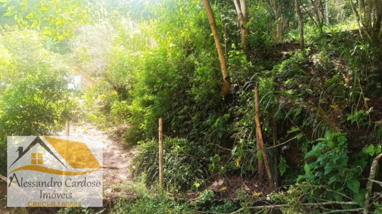 Imagem Terreno à Venda, 1.570 m² em Parque Dom João Vi - Nova Friburgo
