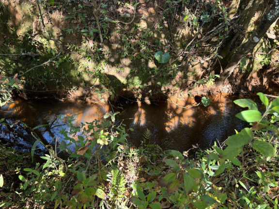 Imagem Terreno à Venda, 5.000 m² em Rio São João - Itatiaiuçu