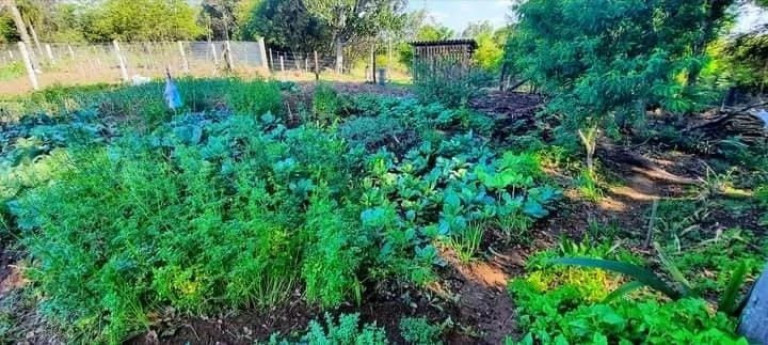 Imagem Imóvel com 3 Quartos à Venda, 100 m² em Ruaral - Araricá