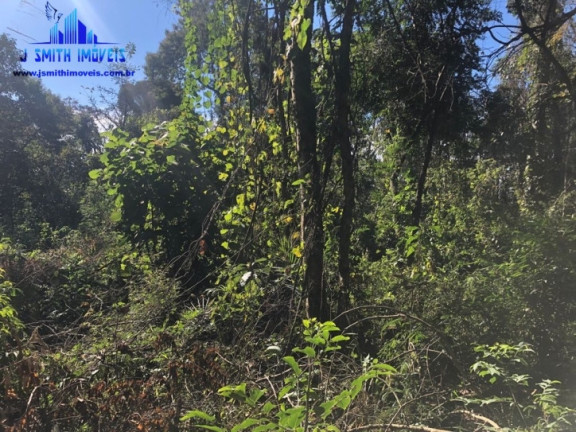 Imagem Terreno em Condomínio à Venda, 500 m² em Paisagem Renoir - Cotia Imagem Terreno em Condomínio à Venda, 500 m² em Paisagem Renoir - Cotia