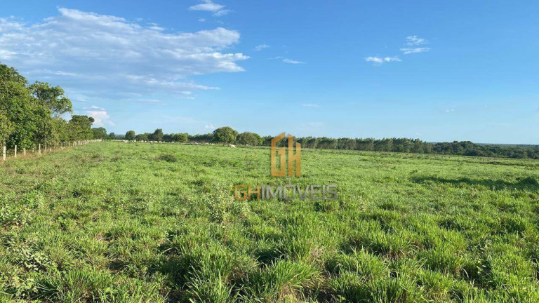 Imagem Fazenda à Venda, 4.017.000 m² em Assentamento - Ribeirão Cascalheira Imagem Fazenda à Venda, 4.017.000 m² em Assentamento - Ribeirão Cascalheira