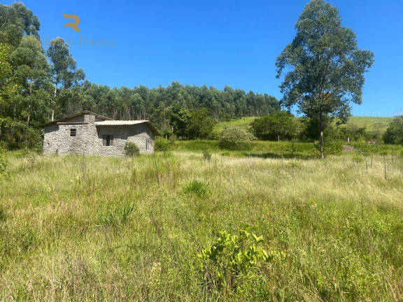 Chácara com 2 Quartos à Venda, 37.000 m² em Pinheirinho - Capela De Santana