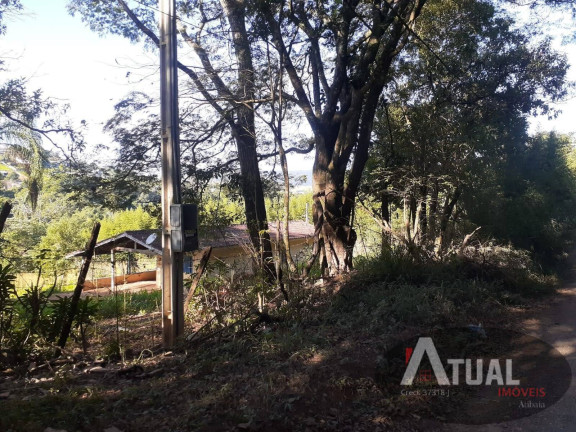 Imagem Terreno à Venda, 10 m² em Canedos - Piracaia