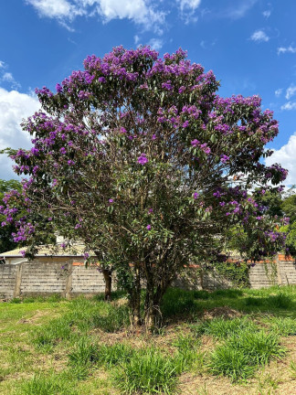 Imagem Terreno à Venda, 1.000 m² em Jundiaquara - Araçoiaba Da Serra Imagem Terreno à Venda, 1.000 m² em Jundiaquara - Araçoiaba Da Serra