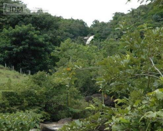 Imagem Chácara à Venda, 2.090.000 m² em Centro - Lajeado Imagem Chácara à Venda, 2.090.000 m² em Centro - Lajeado