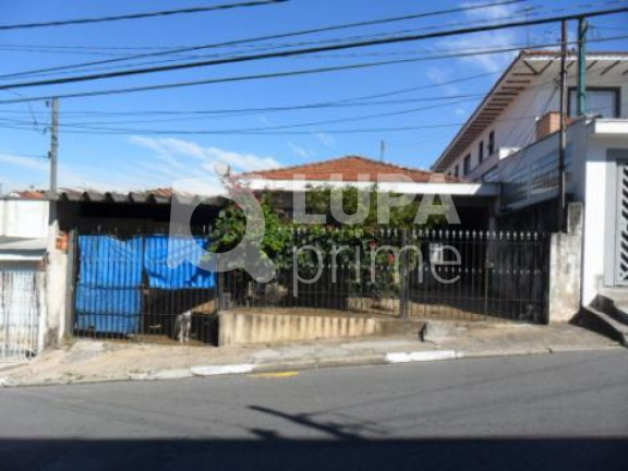 Casa com 3 Quartos à Venda, 250 m² em Vila Gustavo - São Paulo