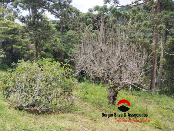 Imagem Terreno à Venda, 1 m² em Campos Do Jordão Imagem Terreno à Venda, 1 m² em Campos Do Jordão