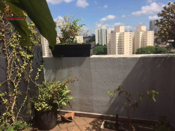 Imagem Apartamento com 3 Quartos para Alugar, 125 m² em Vila Santa Catarina - São Paulo Imagem Apartamento com 3 Quartos para Alugar, 125 m² em Vila Santa Catarina - São Paulo