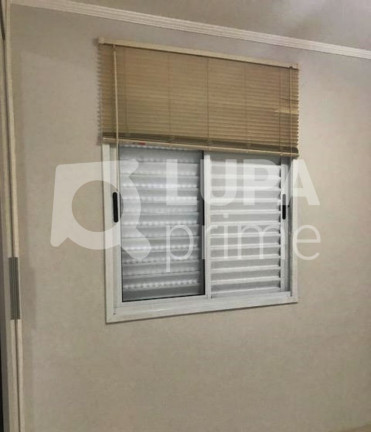 Imagem Apartamento com 2 Quartos à Venda, 50 m² em Parque Novo Mundo - São Paulo Imagem Apartamento com 2 Quartos à Venda, 50 m² em Parque Novo Mundo - São Paulo