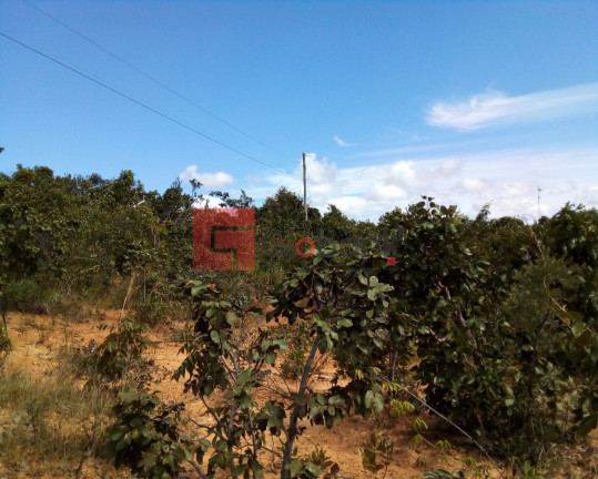 Imóvel à Venda, 3.500 m² em Centro - Montes Claros