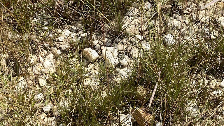 Imagem Imóvel à Venda, 1.000.000 m² em área Rural De São João Del Rei - São João Del Rei Imagem Imóvel à Venda, 1.000.000 m² em área Rural De São João Del Rei - São João Del Rei