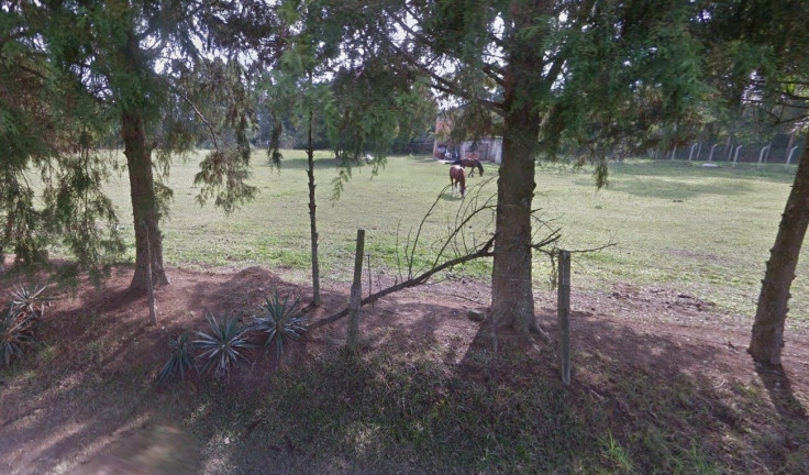 Imóvel à Venda,  em Passauna - Araucaria