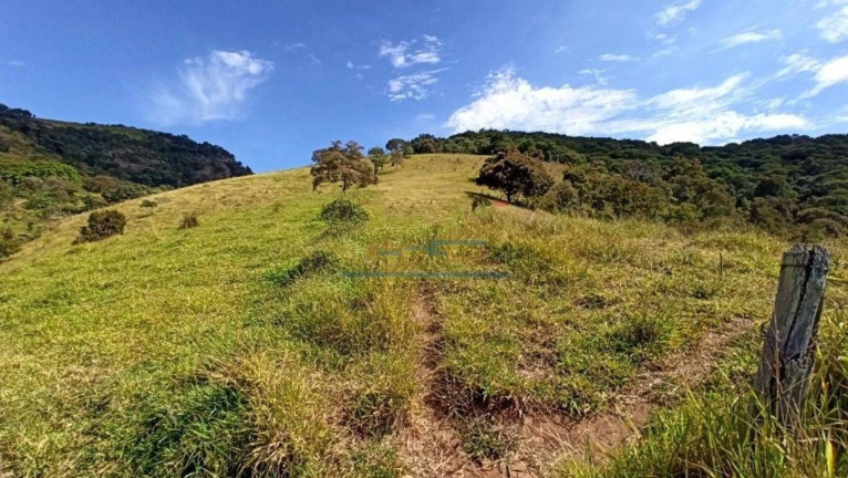 Imagem Chácara com 3 Quartos à Venda, 290.400 m² em Zona Rural - Paraisópolis Imagem Chácara com 3 Quartos à Venda, 290.400 m² em Zona Rural - Paraisópolis