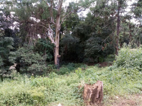 Imagem Terreno à Venda, 1.092 m² em Linha Brasil - Nova Petrópolis Imagem Terreno à Venda, 1.092 m² em Linha Brasil - Nova Petrópolis