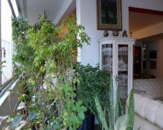 Imagem Apartamento com 3 Quartos à Venda, 320 m² em Centro - São Paulo Imagem Apartamento com 3 Quartos à Venda, 320 m² em Centro - São Paulo